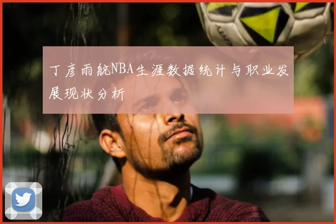 丁彦雨航NBA生涯数据统计与职业发展现状分析