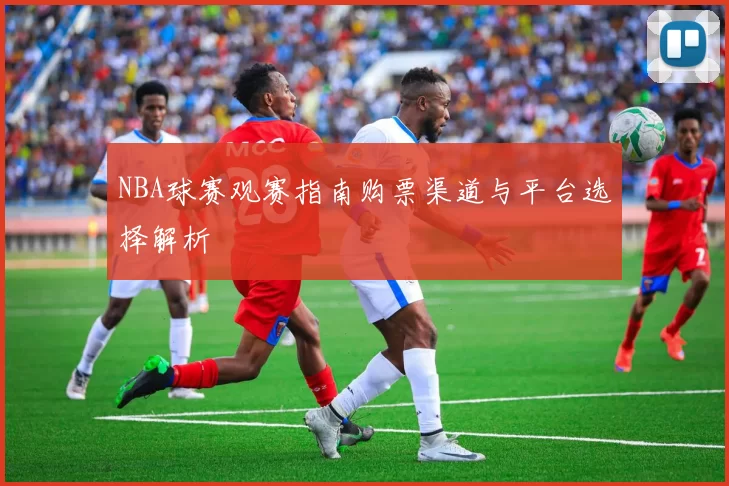 NBA球赛观赛指南购票渠道与平台选择解析