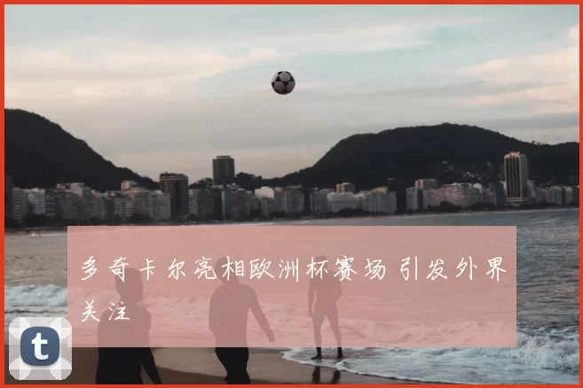 多奇卡尔亮相欧洲杯赛场 引发外界关注