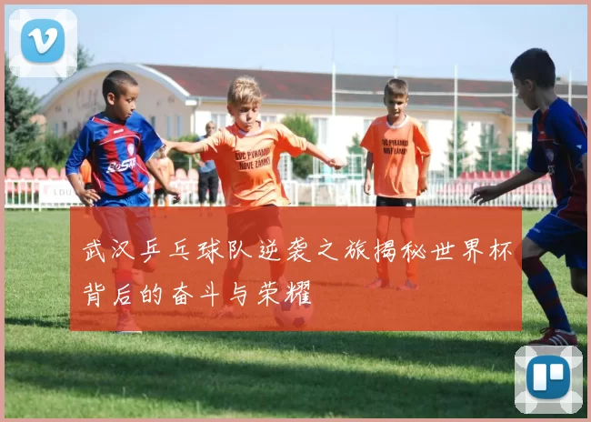 武汉乒乓球队逆袭之旅揭秘世界杯背后的奋斗与荣耀