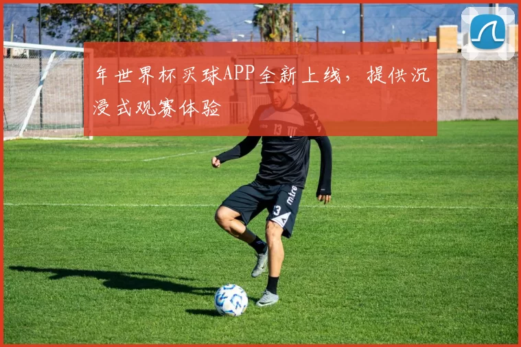 年世界杯买球APP全新上线，提供沉浸式观赛体验