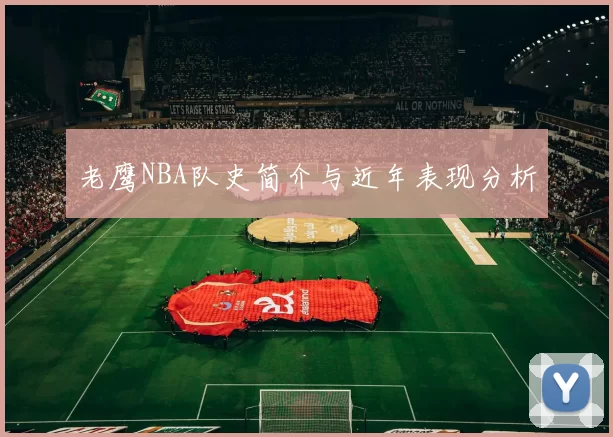 老鹰NBA队史简介与近年表现分析