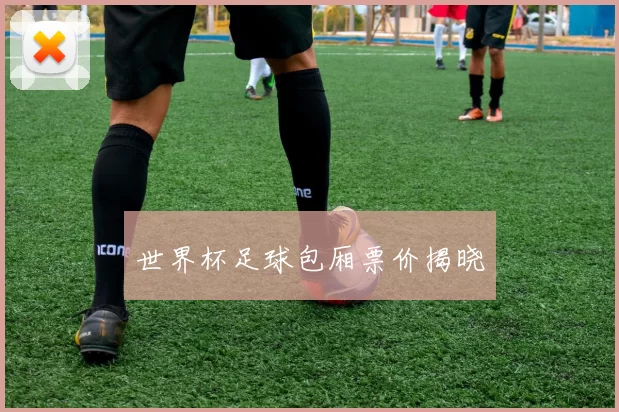 世界杯足球包厢票价揭晓