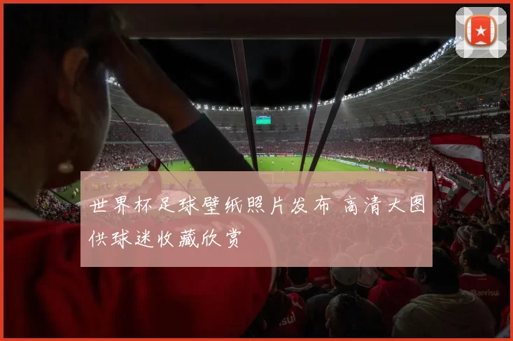 世界杯足球壁纸照片发布 高清大图供球迷收藏欣赏