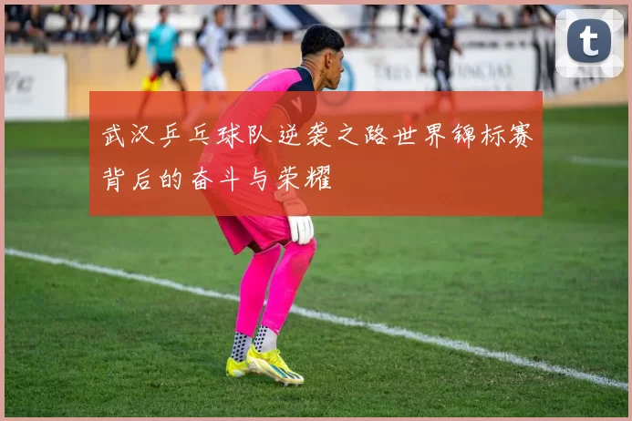 武汉乒乓球队逆袭之路世界锦标赛背后的奋斗与荣耀