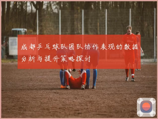 成都乒乓球队团队协作表现的数据分析与提升策略探讨