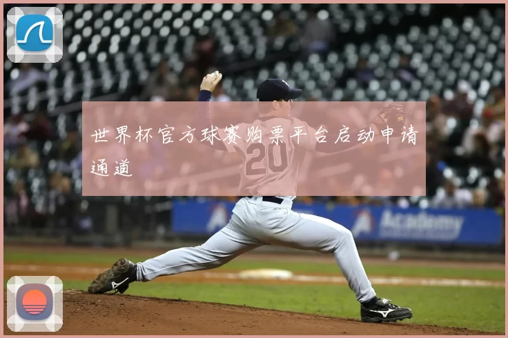 世界杯官方球赛购票平台启动申请通道
