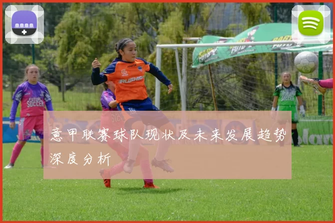 意甲联赛球队现状及未来发展趋势深度分析