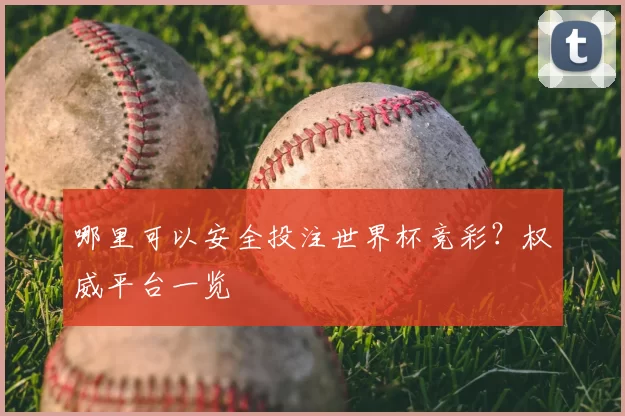 哪里可以安全投注世界杯竞彩？权威平台一览