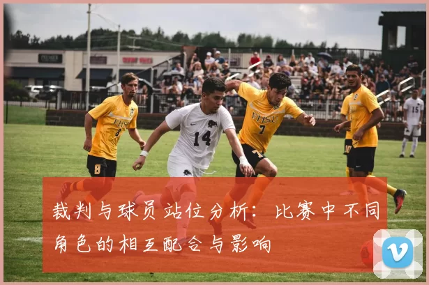 裁判与球员站位分析：比赛中不同角色的相互配合与影响