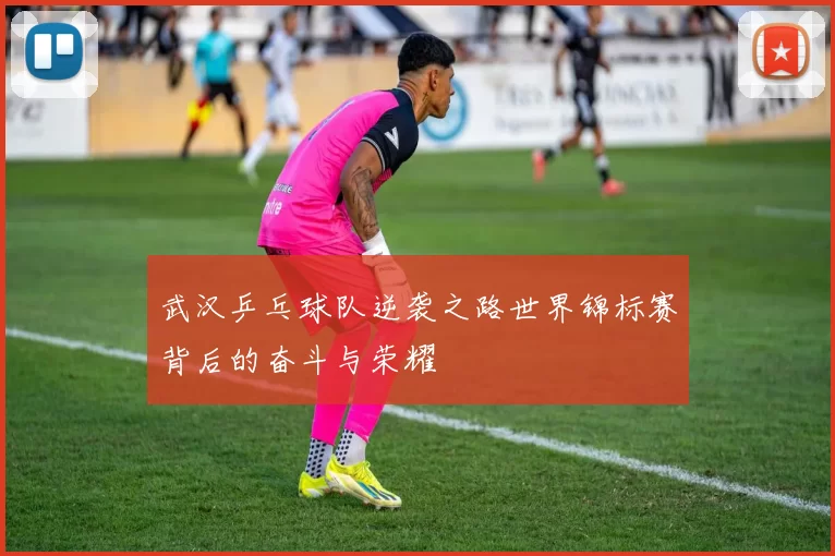 武汉乒乓球队逆袭之路世界锦标赛背后的奋斗与荣耀