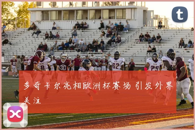 多奇卡尔亮相欧洲杯赛场 引发外界关注