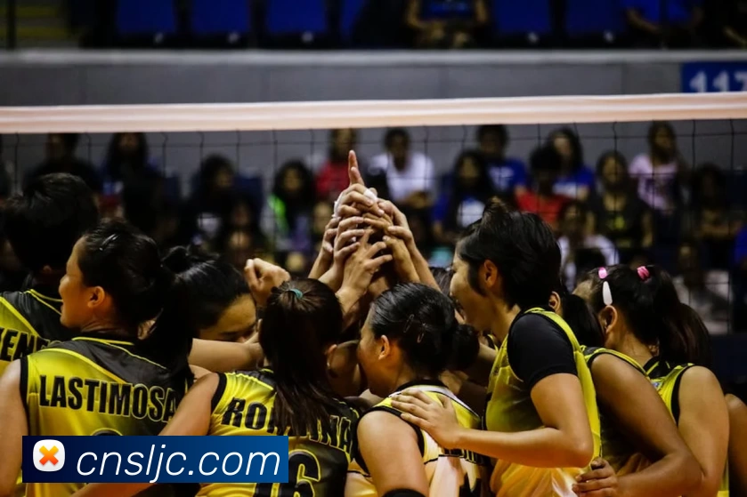 App Interface Preview